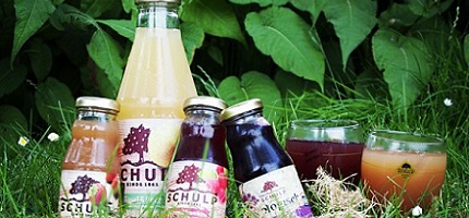 Blaarkopkoeien_Elsbroekerwei