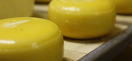 Kaasboerderij De Wit - Ambachtelijke handgemaakte boerenkaas